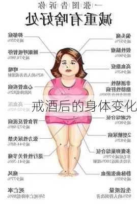 戒酒后的身体变化