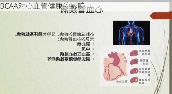 BCAA对心血管健康的影响