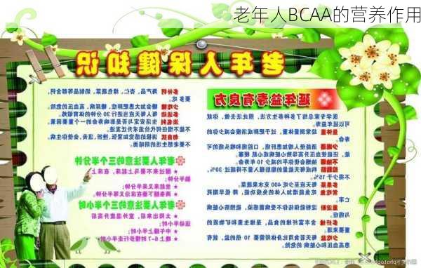 老年人BCAA的营养作用
