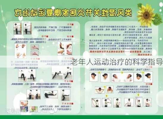 老年人运动治疗的科学指导