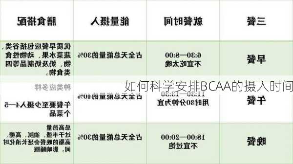 如何科学安排BCAA的摄入时间