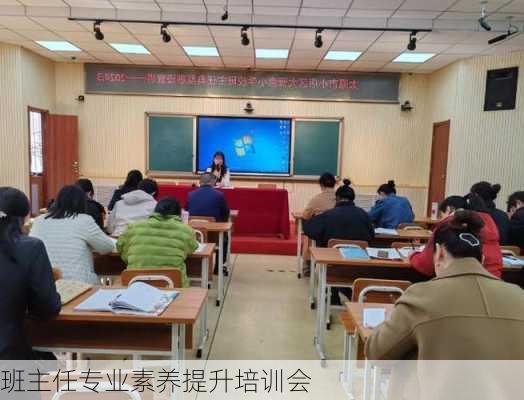 班主任专业素养提升培训会
