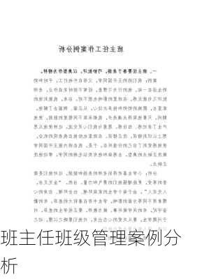班主任班级管理案例分析