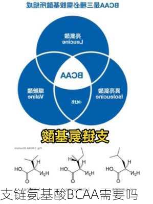 支链氨基酸BCAA需要吗
