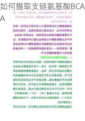 如何摄取支链氨基酸BCAA