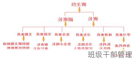 班级干部管理