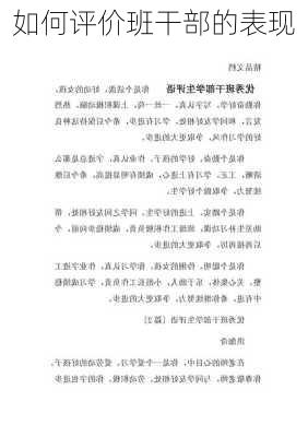 如何评价班干部的表现