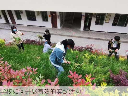 学校如何开展有效的实践活动