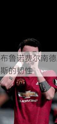 布鲁诺费尔南德斯的韧性