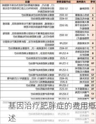 基因治疗肥胖症的费用概述
