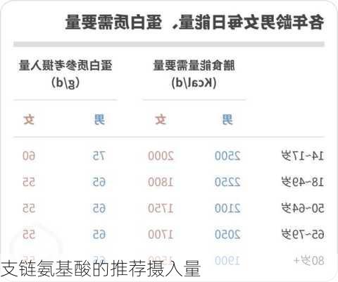 支链氨基酸的推荐摄入量