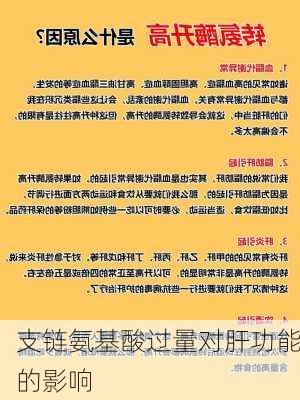 支链氨基酸过量对肝功能的影响