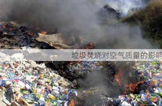 垃圾焚烧对空气质量的影响