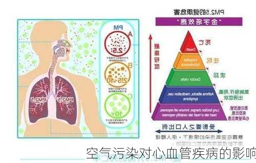 空气污染对心血管疾病的影响