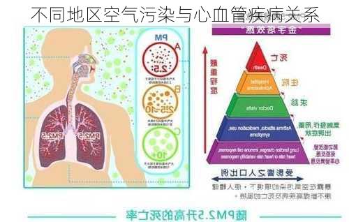 不同地区空气污染与心血管疾病关系