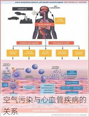 空气污染与心血管疾病的关系