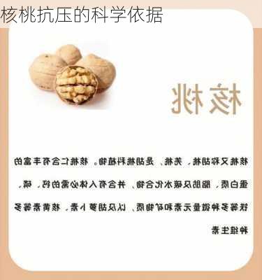 核桃抗压的科学依据