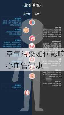 空气污染如何影响心血管健康