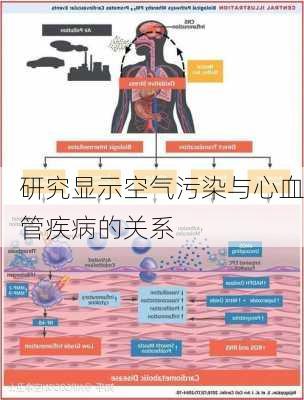 研究显示空气污染与心血管疾病的关系