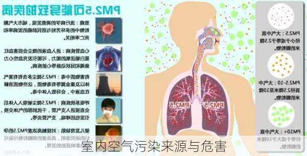 室内空气污染来源与危害