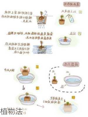 植物法