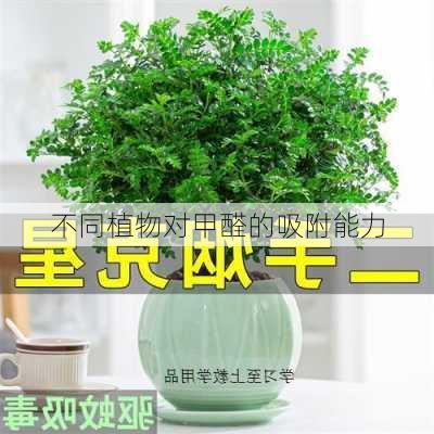 不同植物对甲醛的吸附能力