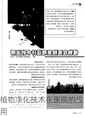 植物净化技术在医院的应用
