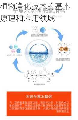 植物净化技术的基本原理和应用领域