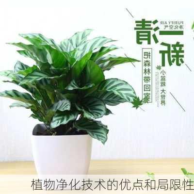 植物净化技术的优点和局限性