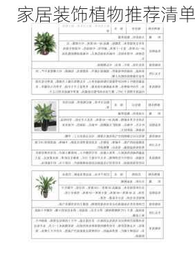 家居装饰植物推荐清单