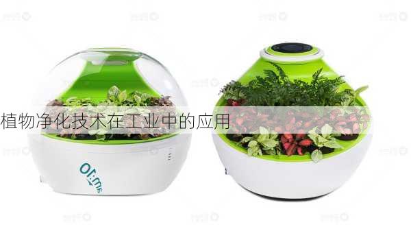 植物净化技术在工业中的应用