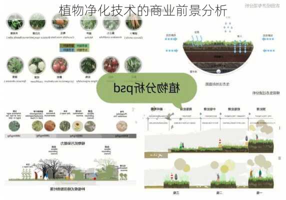 植物净化技术的商业前景分析