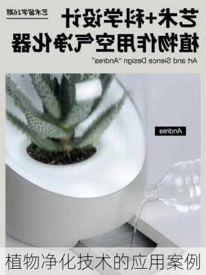 植物净化技术的应用案例