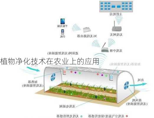植物净化技术在农业上的应用