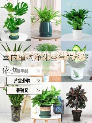 室内植物净化空气的科学依据