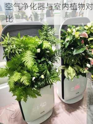 空气净化器与室内植物对比