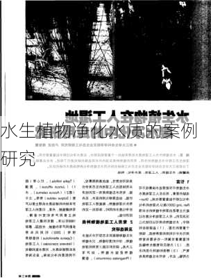 水生植物净化水质的案例研究