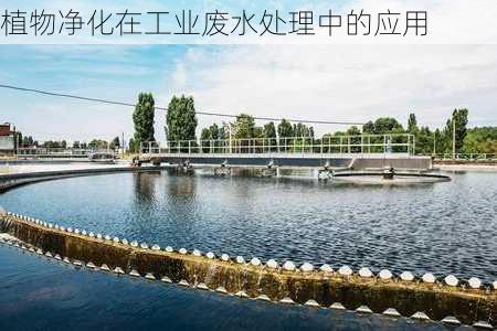植物净化在工业废水处理中的应用