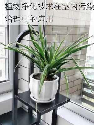 植物净化技术在室内污染治理中的应用