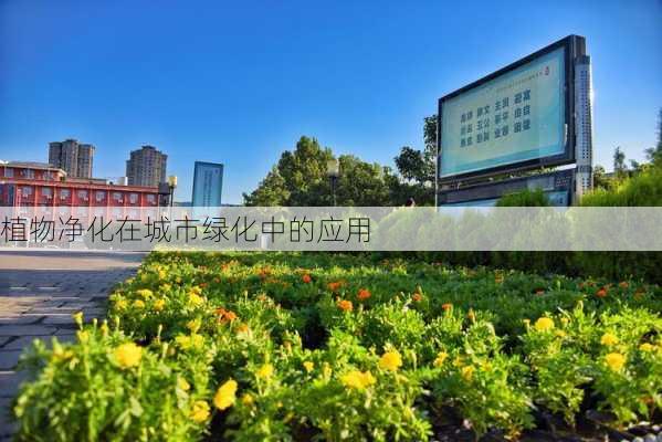 植物净化在城市绿化中的应用