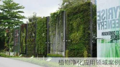 植物净化应用领域案例