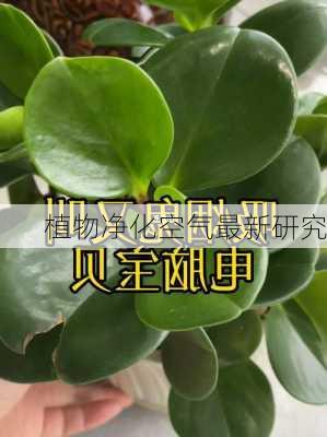 植物净化空气最新研究