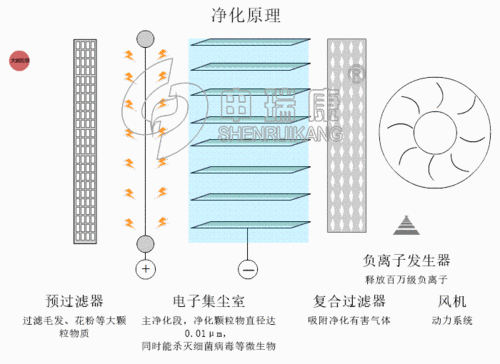 植物净化原理分析