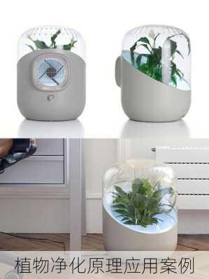 植物净化原理应用案例