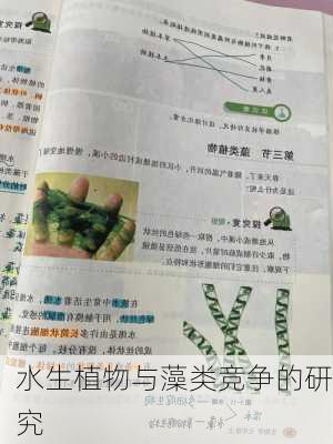 水生植物与藻类竞争的研究