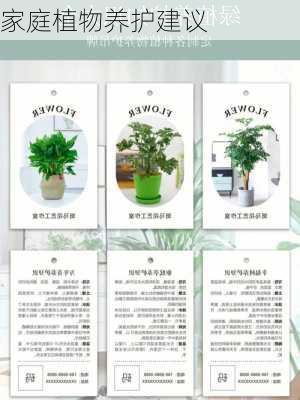 家庭植物养护建议