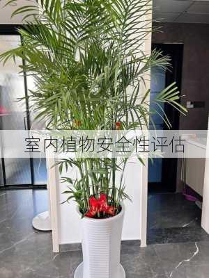 室内植物安全性评估