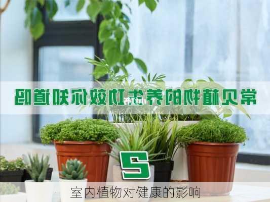 室内植物对健康的影响