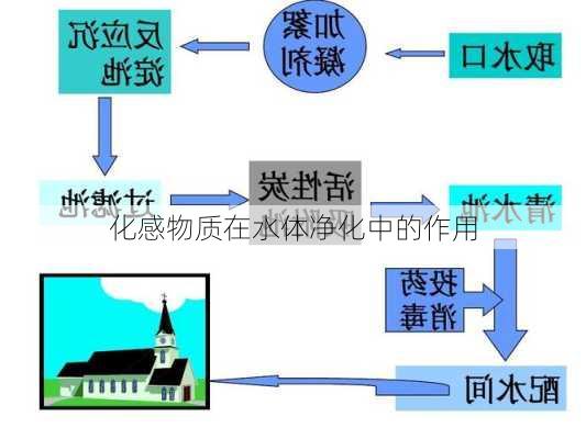 化感物质在水体净化中的作用