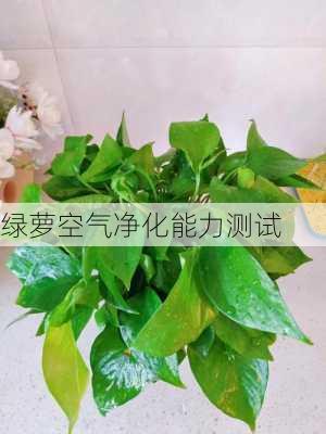 绿萝空气净化能力测试